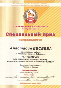 Диплом «Специальный приз жюри» на V Меж...